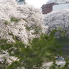 _IGP7680