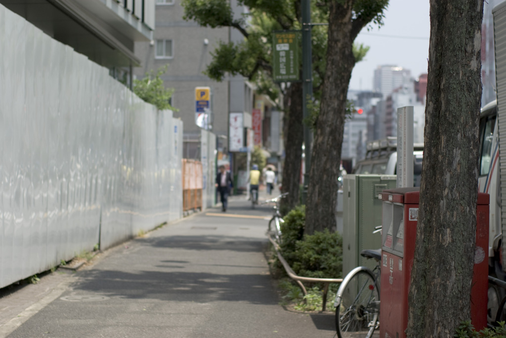 歩道と街路樹