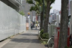 歩道と街路樹