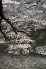 _IGP7685