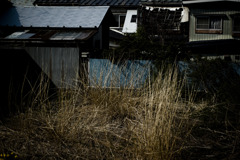 路地裏