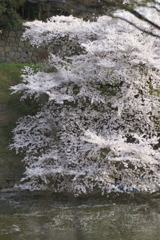 _IGP7679