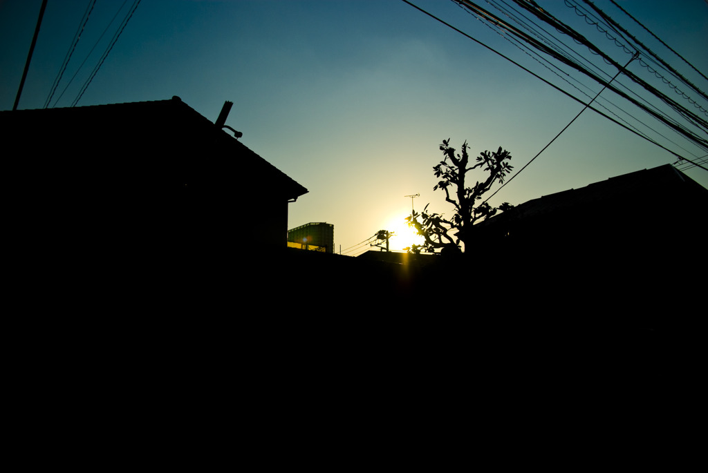 Sunset