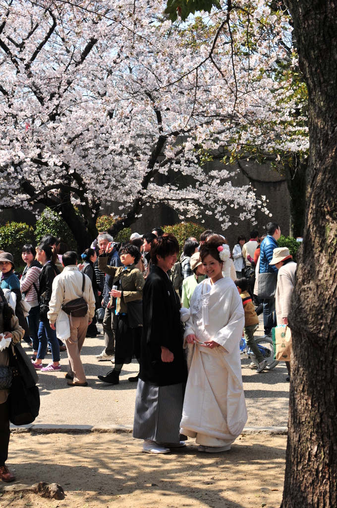 桜の木の下で…