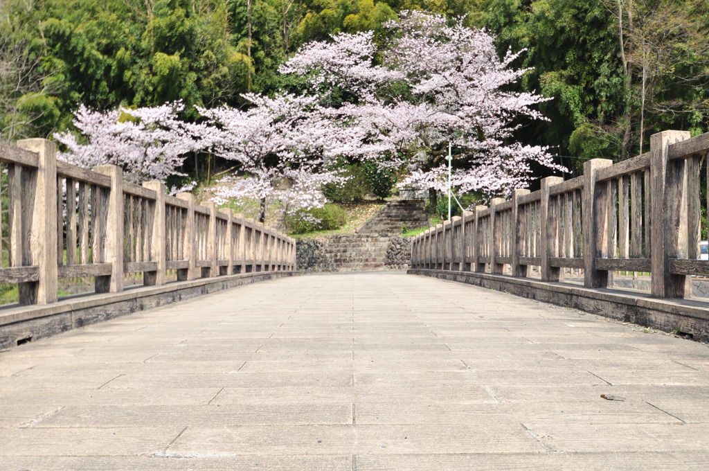 橋の向こうに