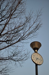 公園