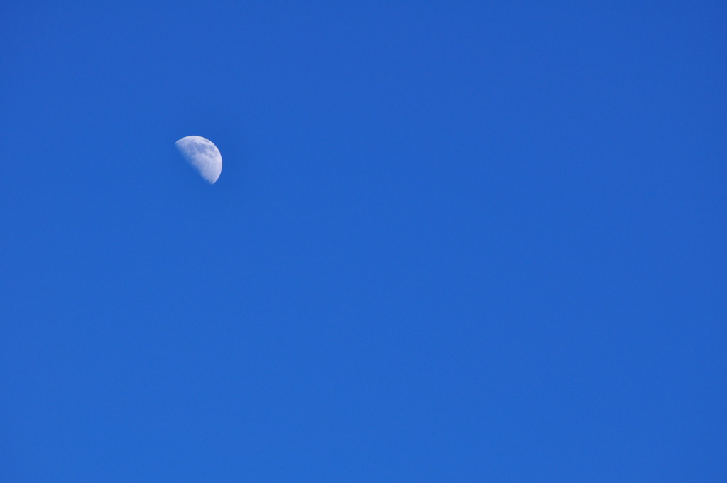 AFTERNOON HALFMOON