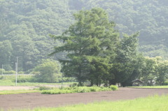 汽車から