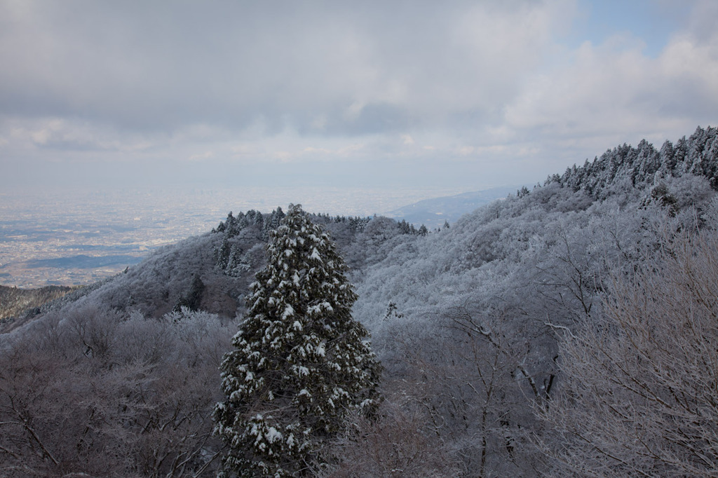 山頂から