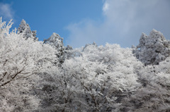 山頂公園にて