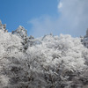 山頂公園にて