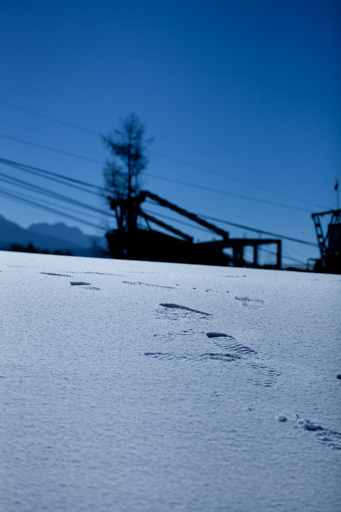 雪原の朝