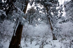 金剛山中