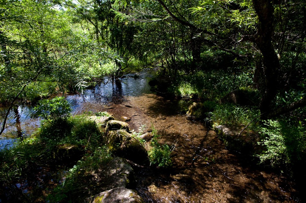 御泉水自然園