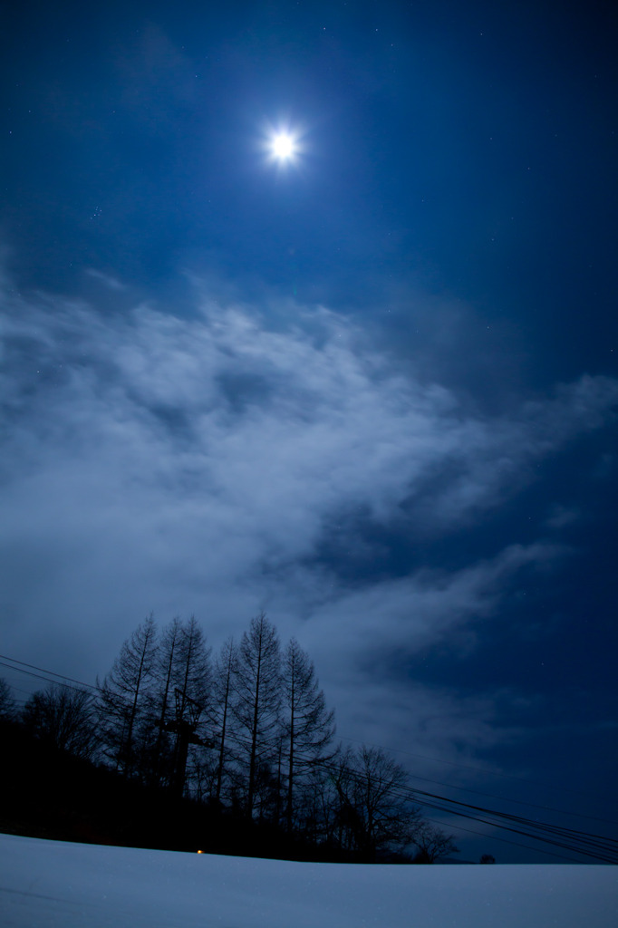 月夜の雪原