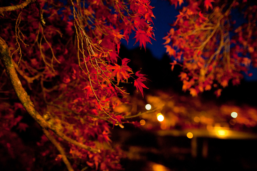 香落渓の紅葉