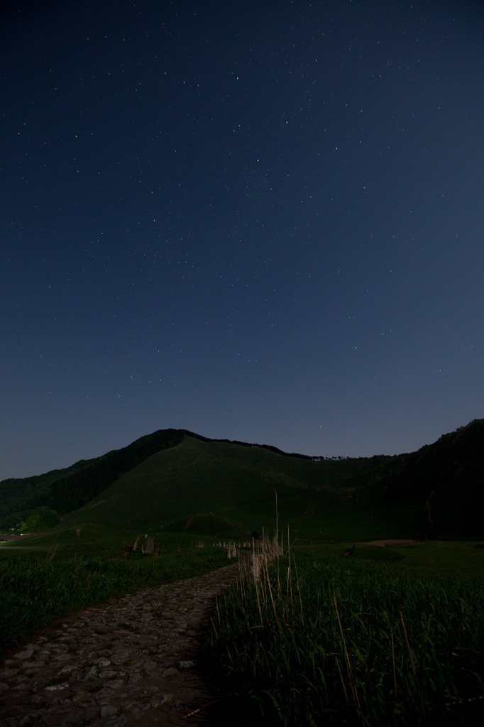 月夜の道