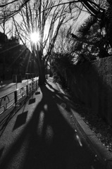 CSC_0221