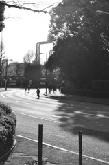 CSC_0219