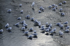 2009年大晦日　京都