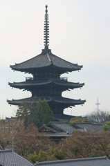 京都　八坂の塔