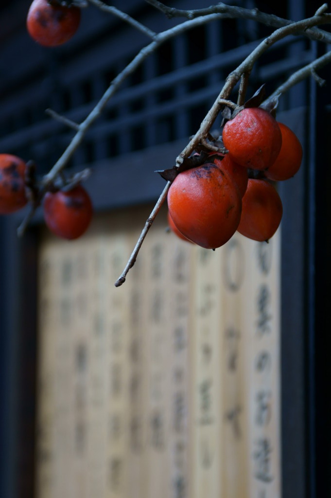 祇園某飲食店　軒先にて