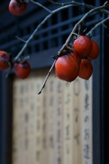 祇園某飲食店　軒先にて
