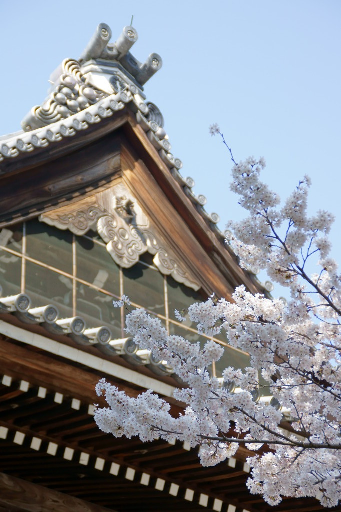 南禅寺