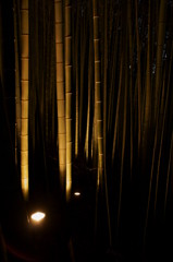 京都花灯炉2009・嵐山
