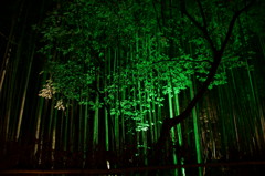 京都花灯炉2009・嵐山