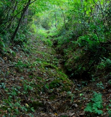 古き山道