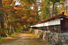 山道