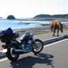鉄馬と寒立馬