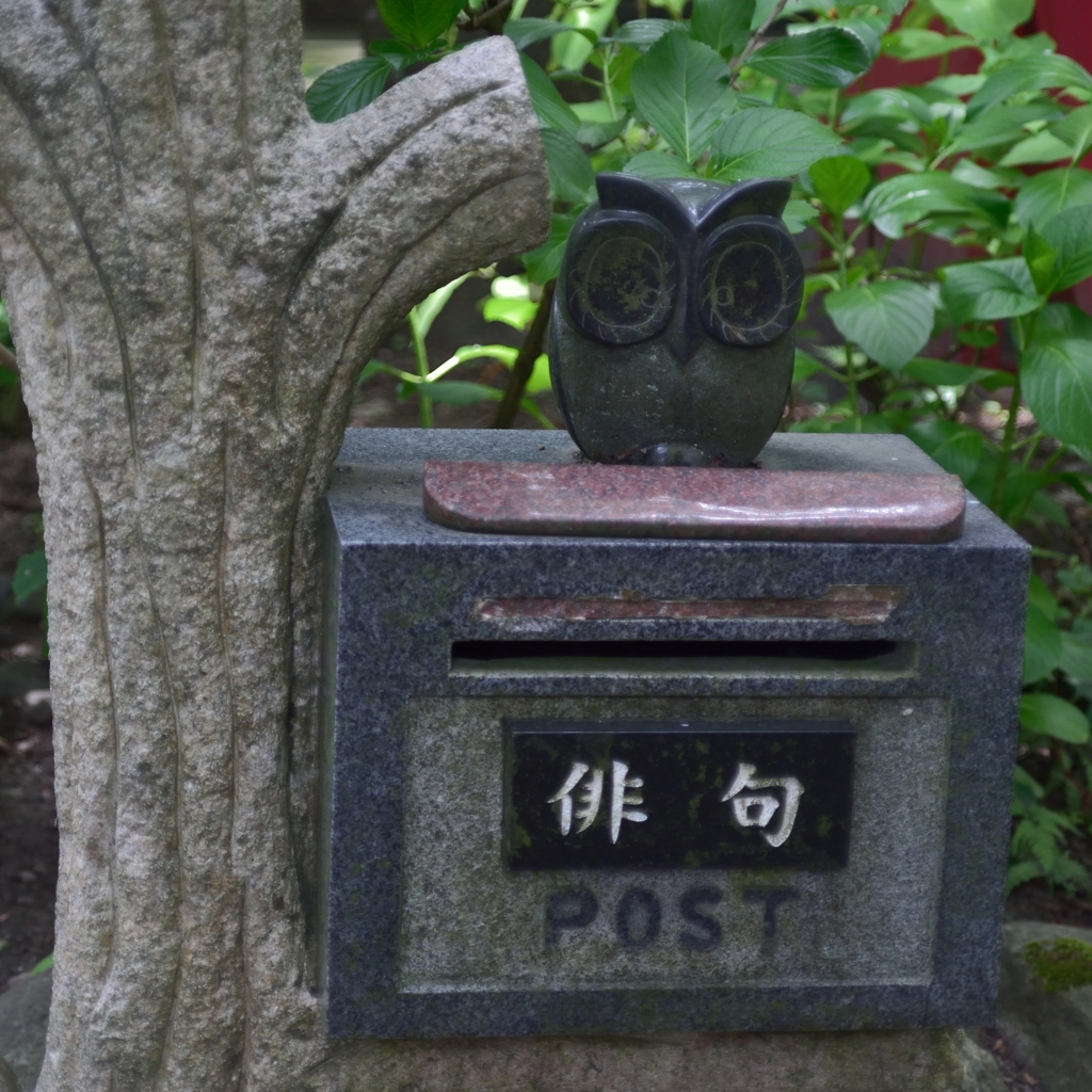 名人募集