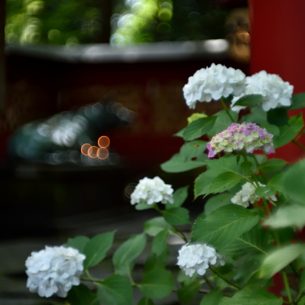 花と玉