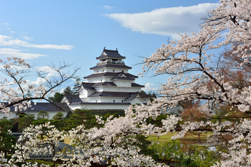 鶴ヶ城　2016-2