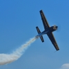 大空に舞う