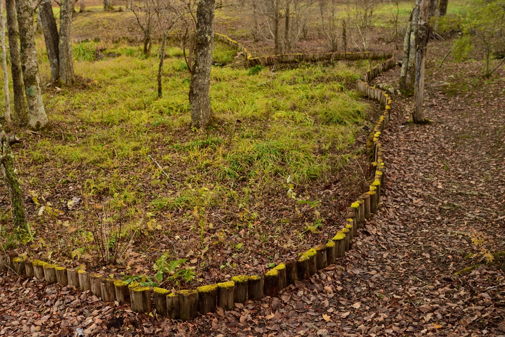 border