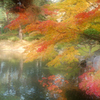 夢の紅葉