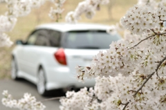 愛車と共に