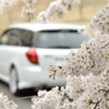 愛車と共に