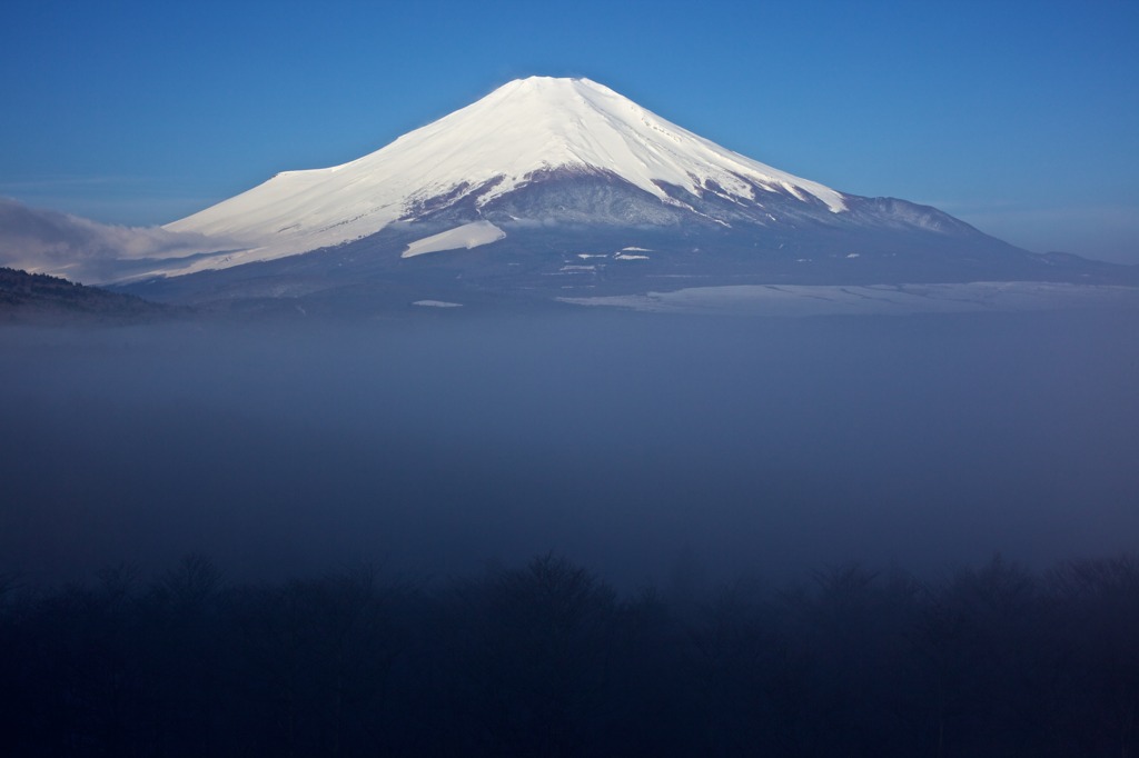 朝靄に浮かぶ