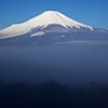 朝靄に浮かぶ