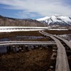 人生の岐路