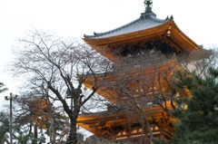 三渓園  245