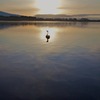 白鳥の湖？