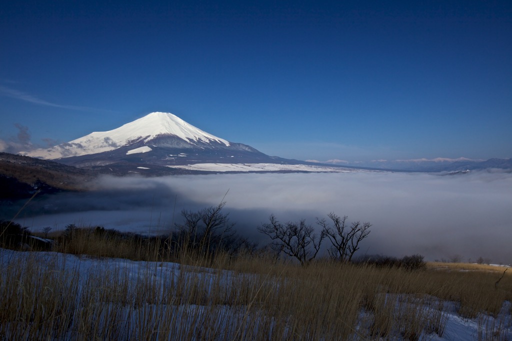 朝靄の絨毯
