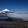 朝靄の絨毯
