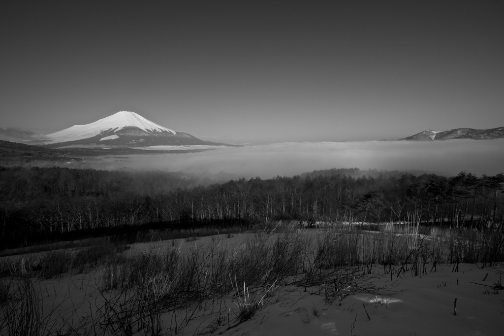 朝靄の山中湖