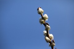 三渓園  108